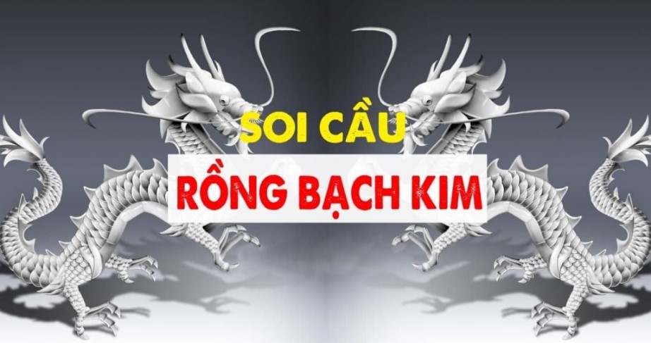 Tìm hiểu Soi Cầu Rồng Bạch Kim là gì?